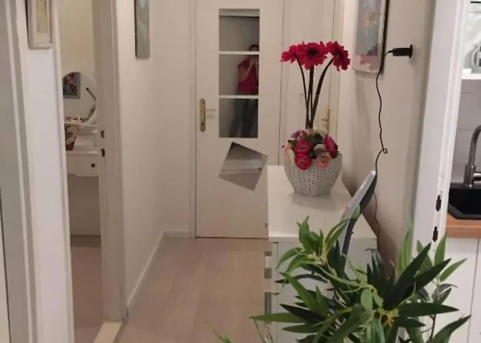 House - 2m From - Three Bedroom House